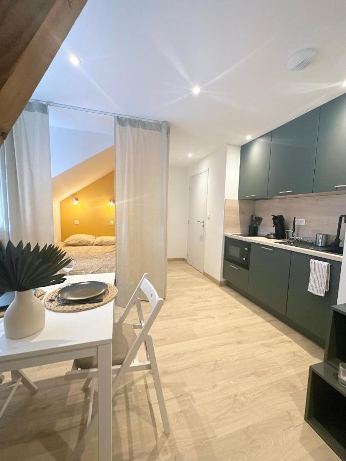 Sacre Appartement/Jardin/Parking/Wifi Rodez Exterior photo